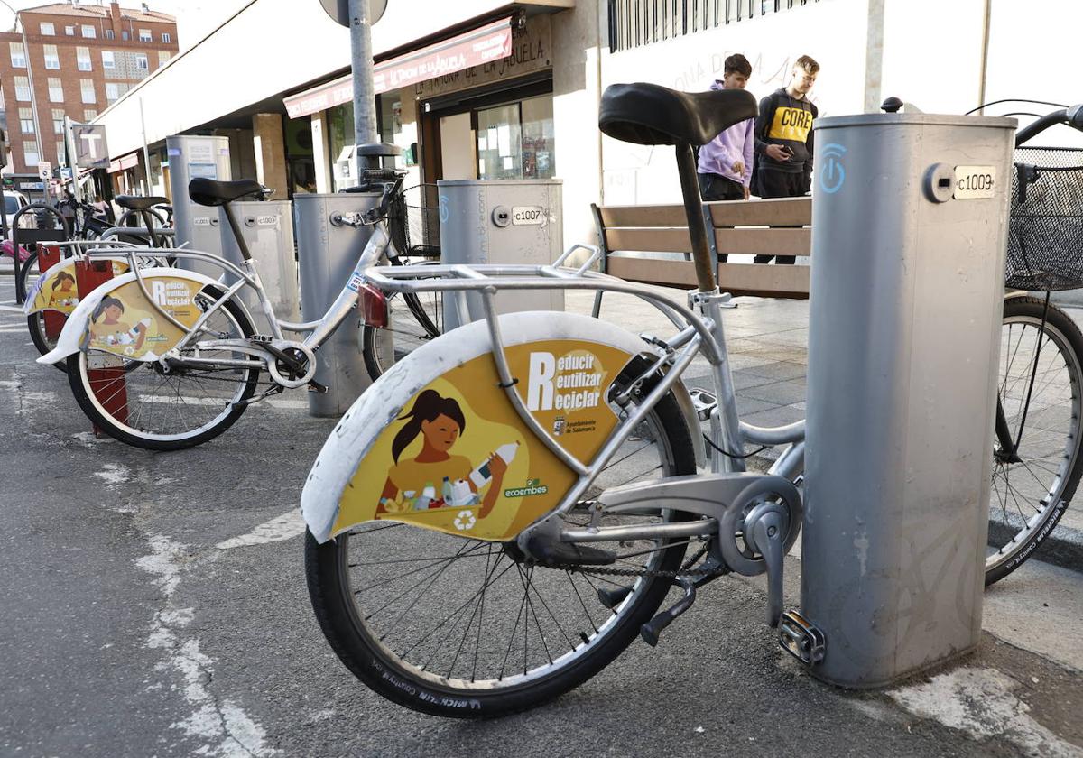 Varias bicicletas de alquiler del sistema público 'Salenbici', aparcadas en la Avenida de Filiberto Villalobos.