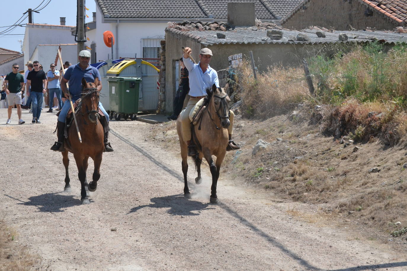 Vibrante encierro a caballo en Martín de Yeltes