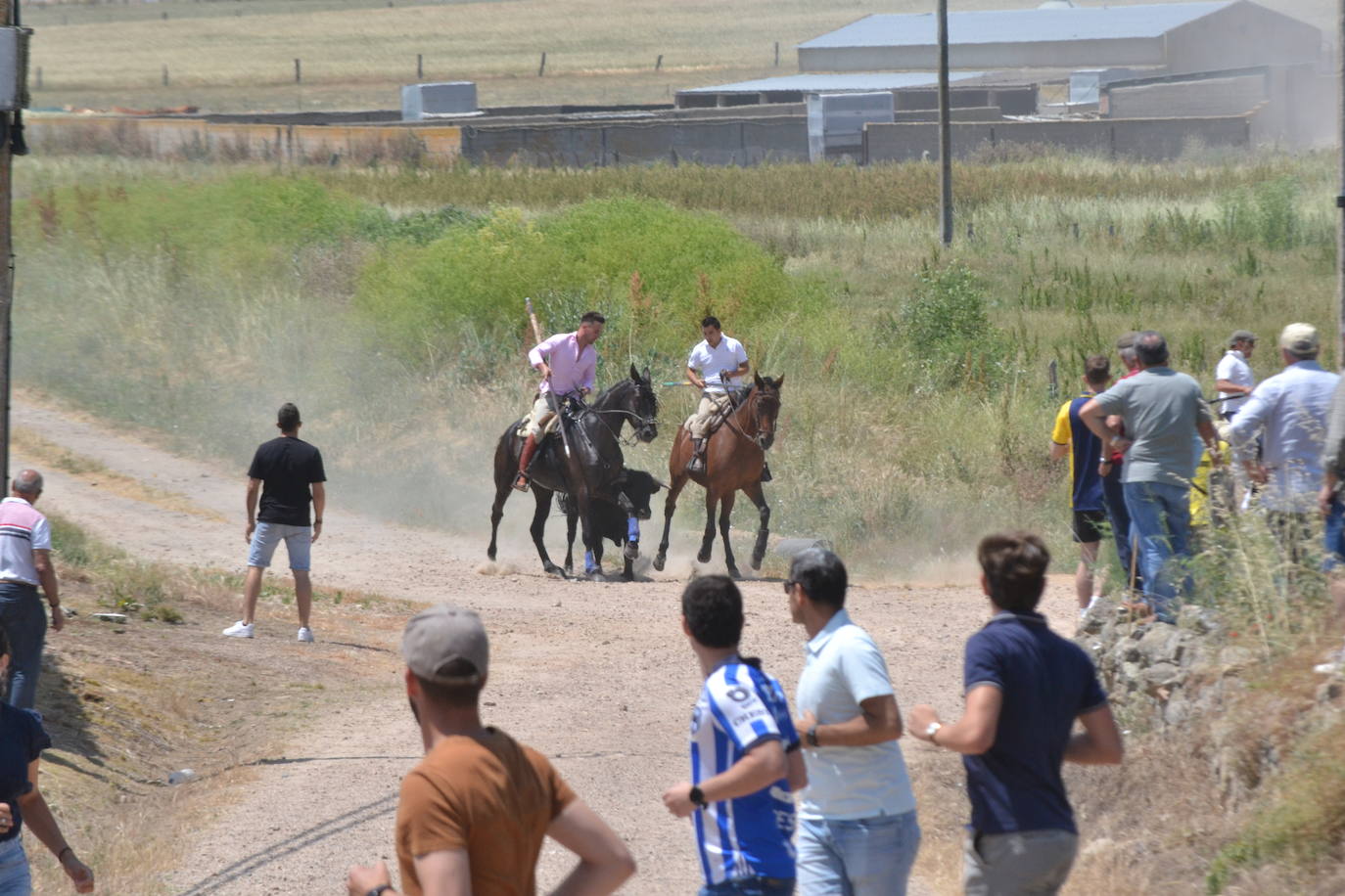 Vibrante encierro a caballo en Martín de Yeltes