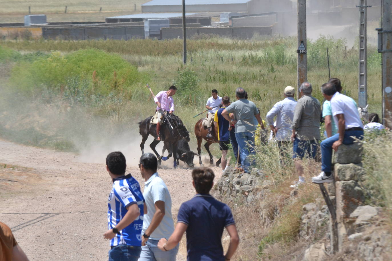 Vibrante encierro a caballo en Martín de Yeltes