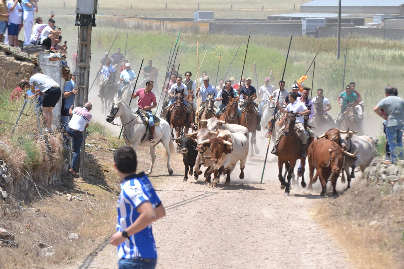 Vibrante encierro a caballo en Martín de Yeltes