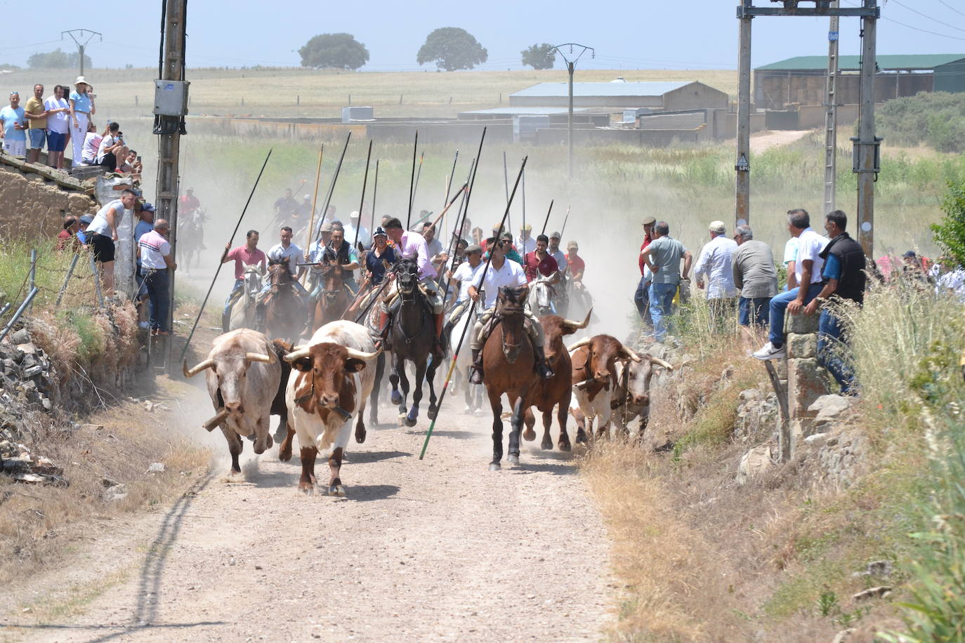 Vibrante encierro a caballo en Martín de Yeltes