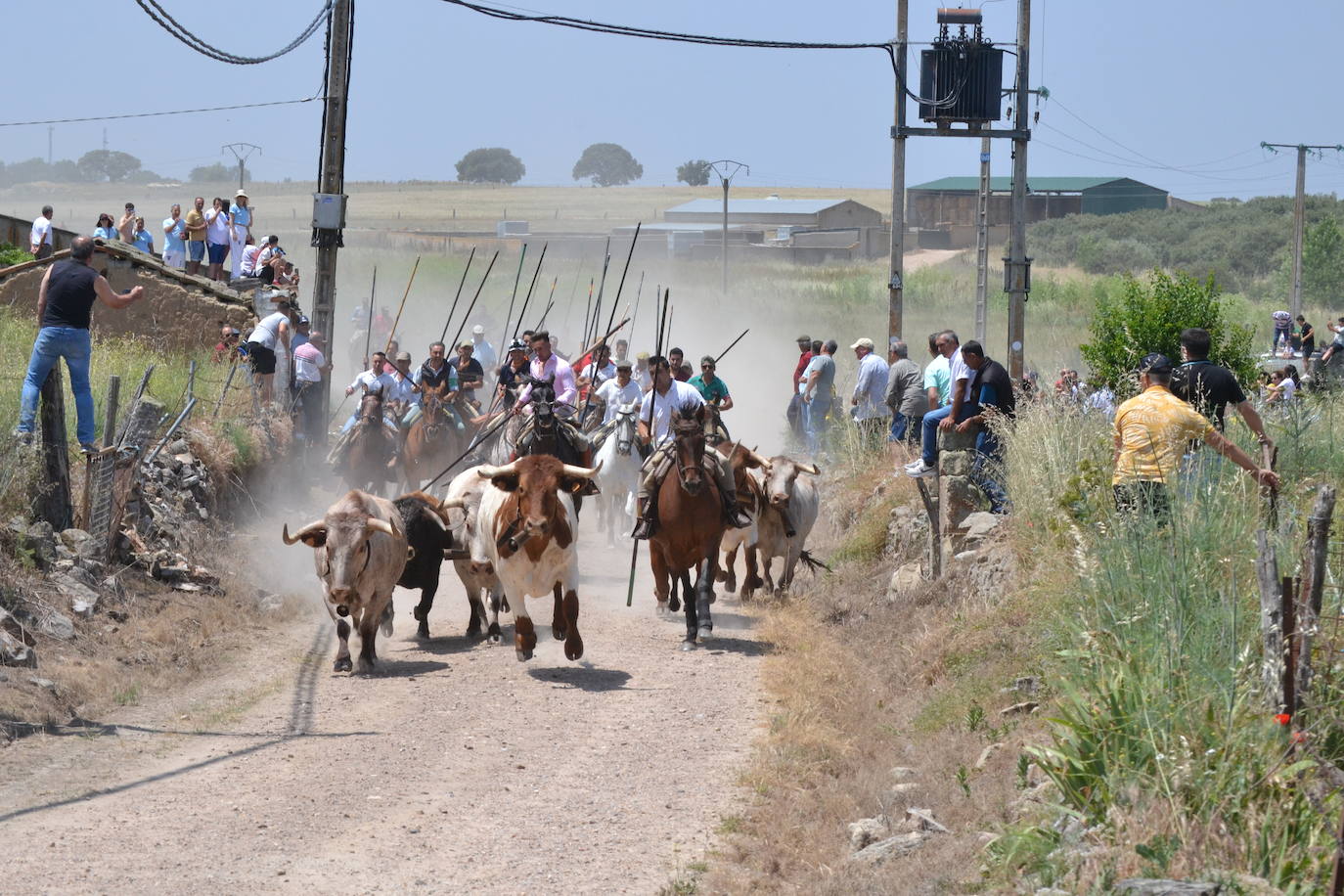 Vibrante encierro a caballo en Martín de Yeltes