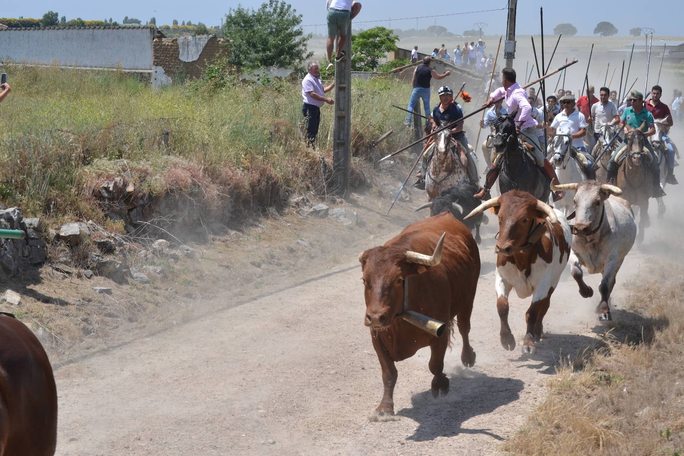Vibrante encierro a caballo en Martín de Yeltes
