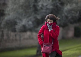 Una mujer se protege del frío.