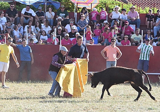 Dos mozos, en las vaquillas de las celebraciones del año pasado en Aldeatejada.