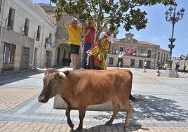 Una de las vacas que participó en el encierro de este viernes