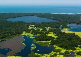 Imagen cenital la Vía Parque Isla de Salamanca extraída de la página oficial del Gobierno de Colombia.