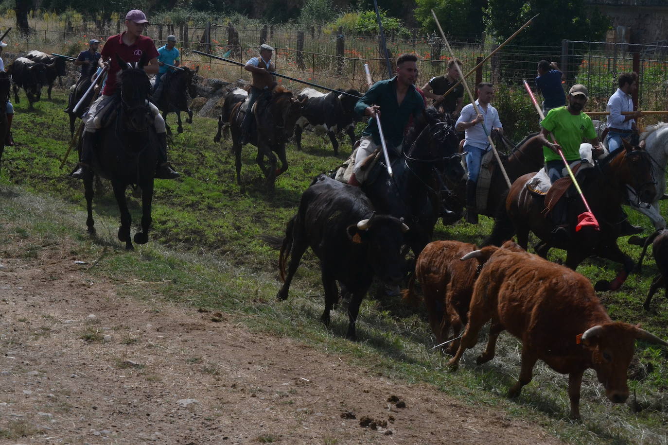 Rápido y bello trabajo caballista en Sancti Spíritus