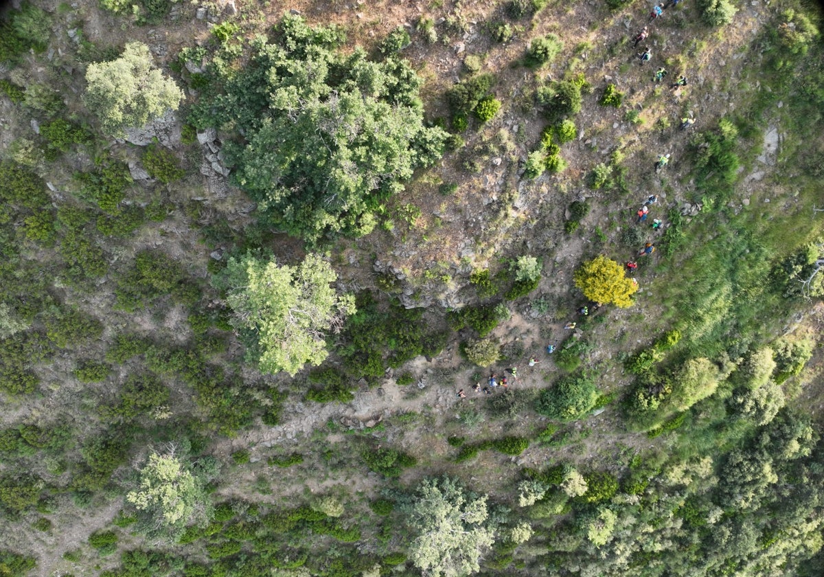 Voluntarios en el operativo de búsqueda del desaparecido por la cara sur de la sierra de Tornavacas.