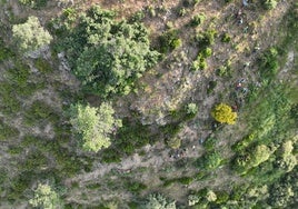 Voluntarios en el operativo de búsqueda del desaparecido por la cara sur de la sierra de Tornavacas.