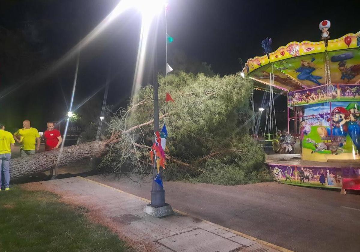 Árbol caído en las fiestas de Peñasolana.