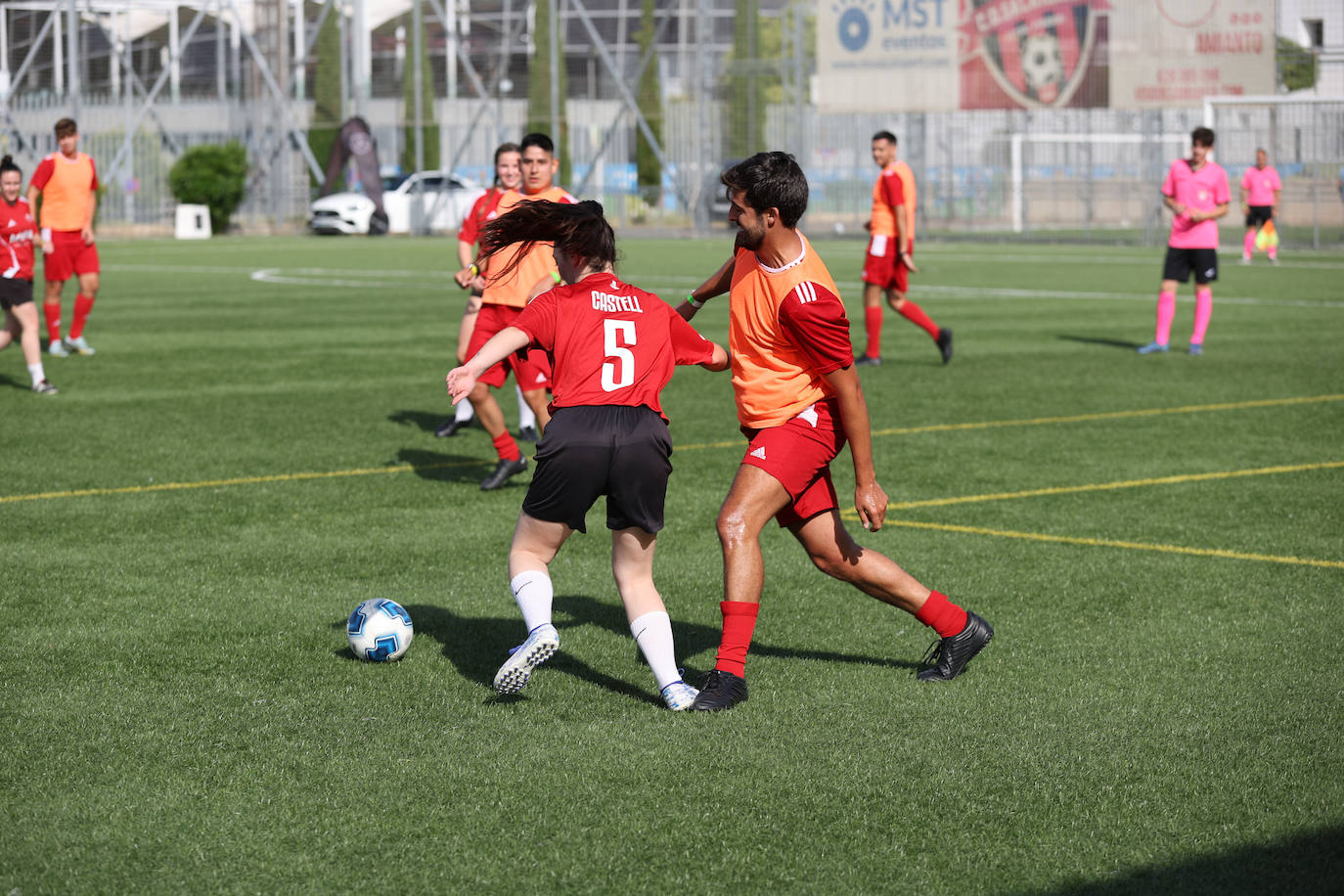 Los colegiados se enfrentan