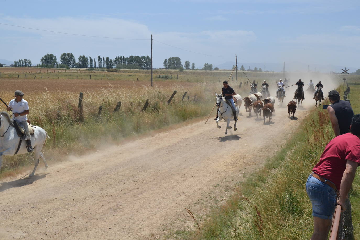 Bella carrera a caballo en La Fuente de San Esteban