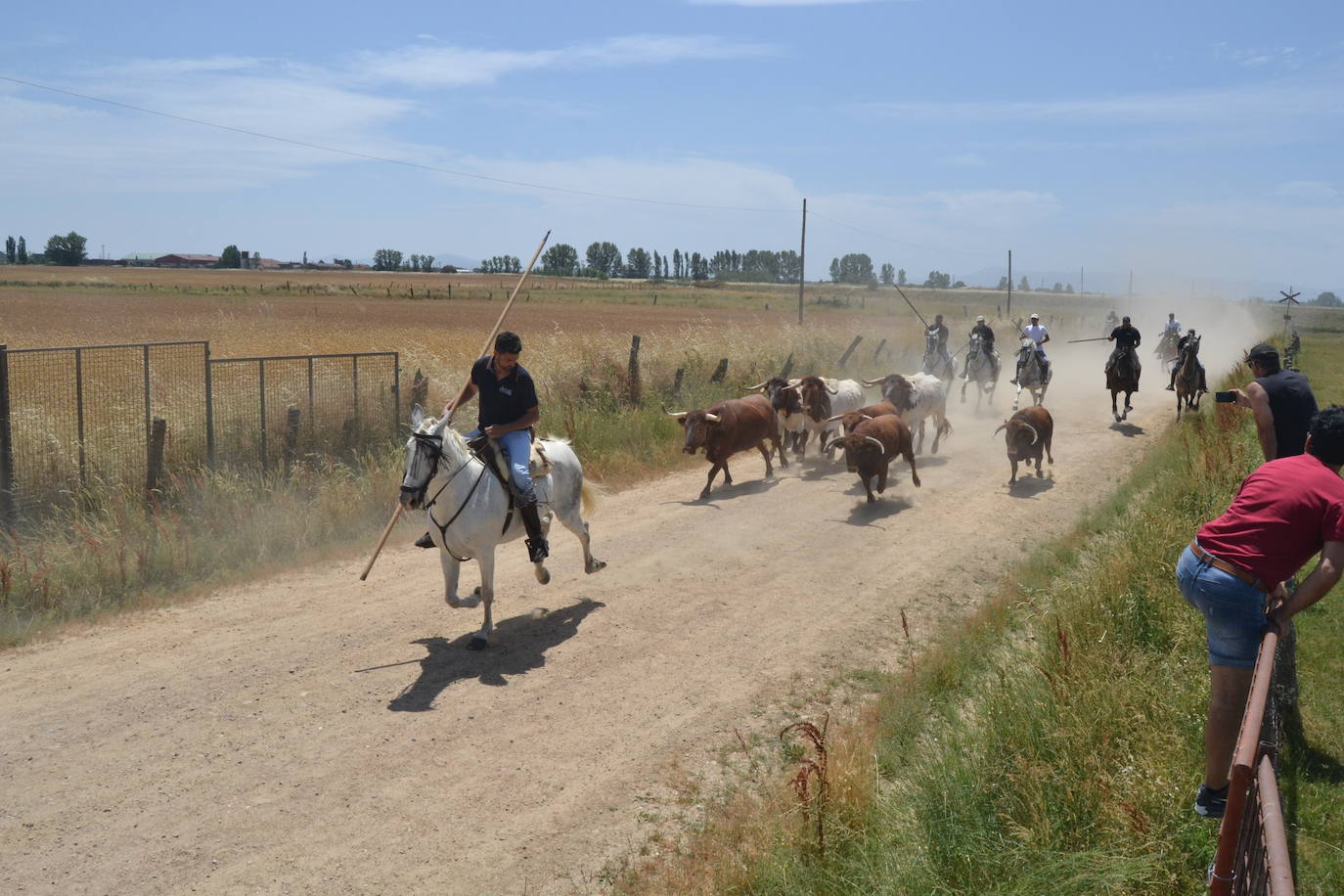 Bella carrera a caballo en La Fuente de San Esteban