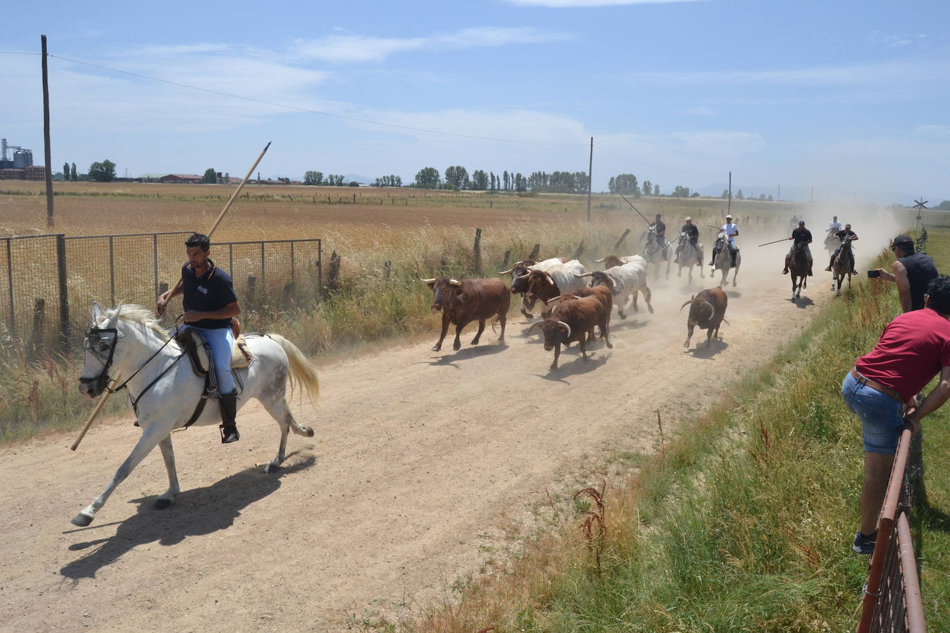 Bella carrera a caballo en La Fuente de San Esteban
