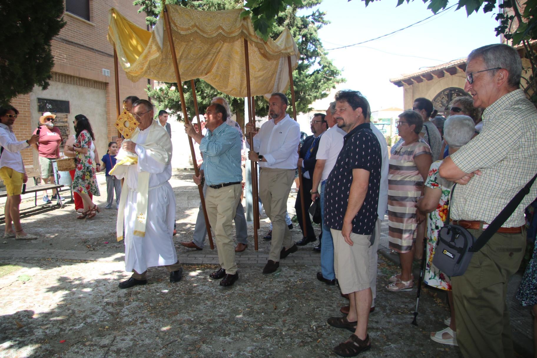 Pétalos de flores y palio en la procesión de Aldeatejada