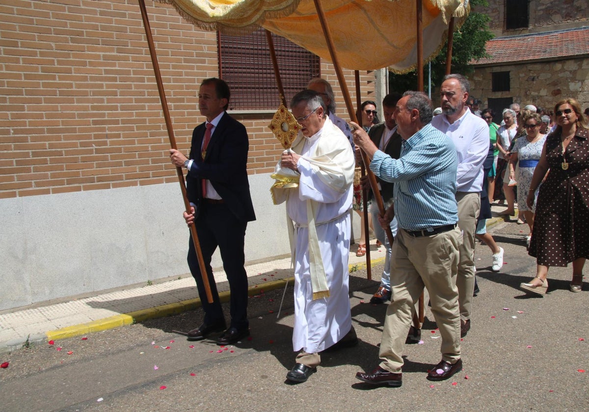 Pétalos de flores y palio en la procesión de Aldeatejada