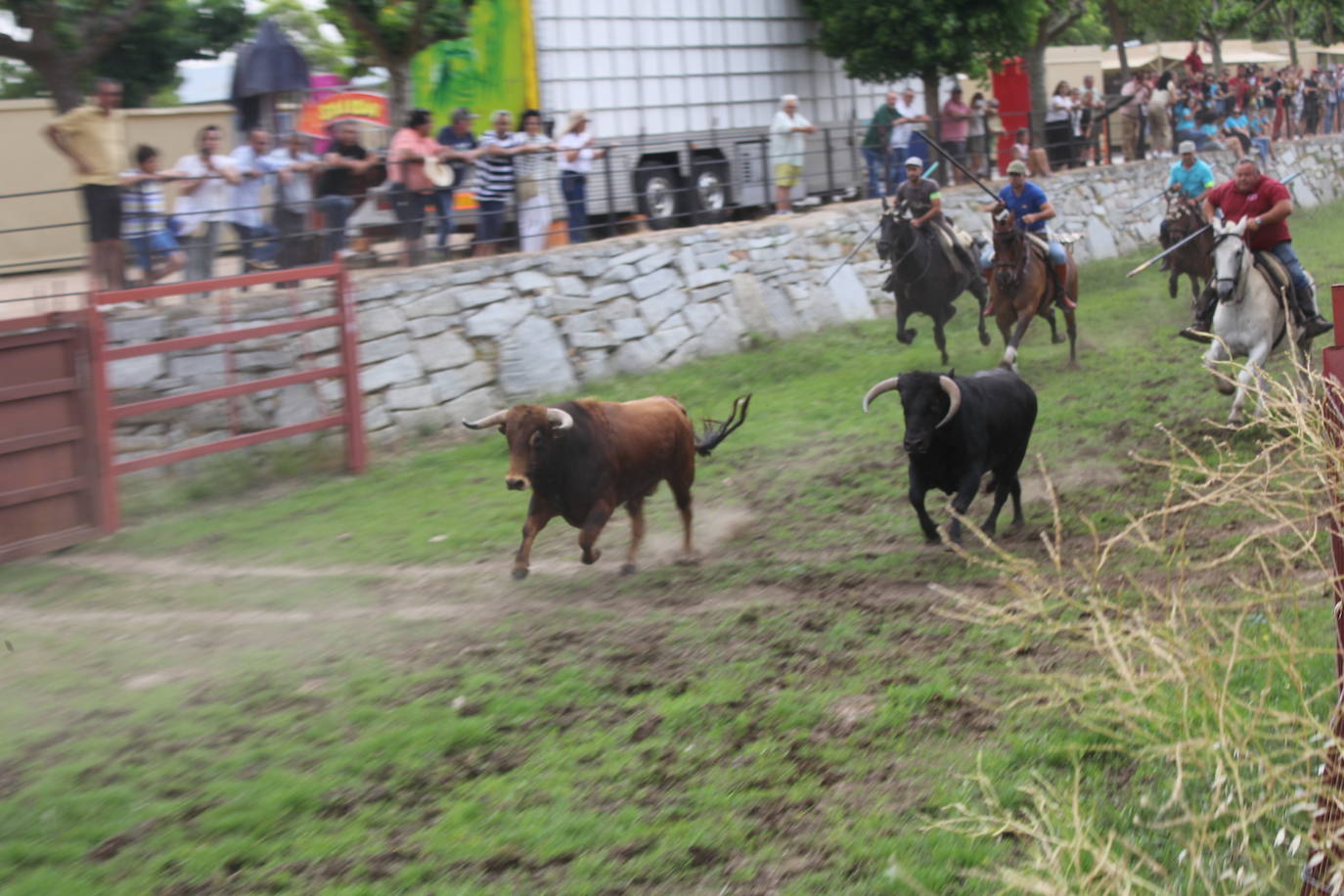 Último y trepidante encierro a caballo en Sancti Spíritus
