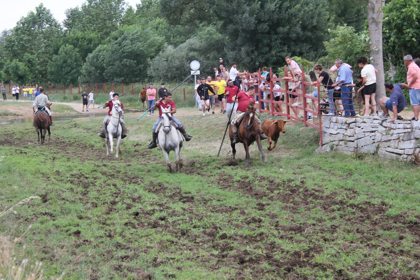 Último y trepidante encierro a caballo en Sancti Spíritus