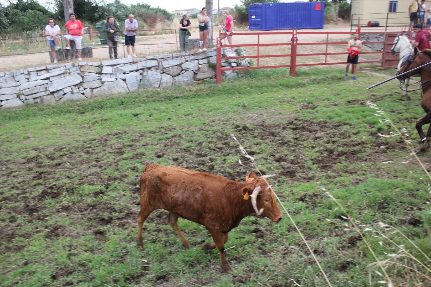 Último y trepidante encierro a caballo en Sancti Spíritus