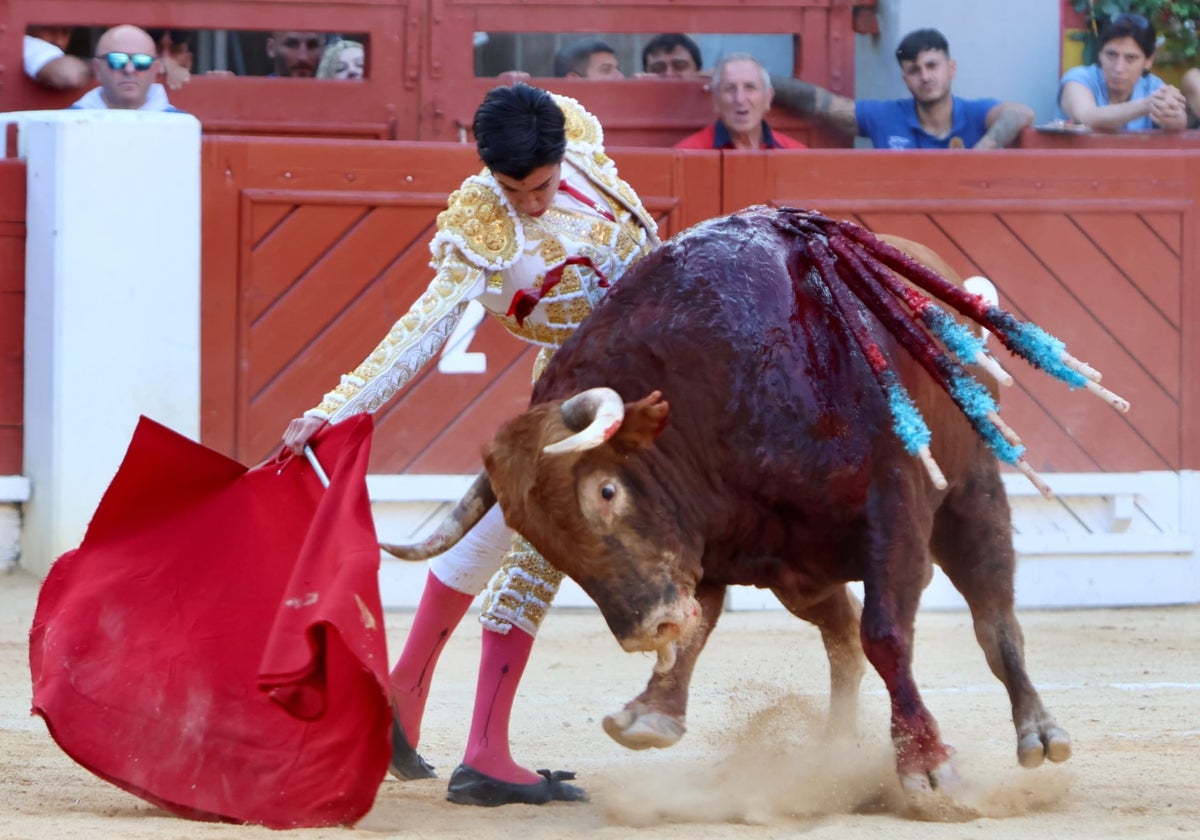 Derechazo de Marco Pérez al toro Rosito, de Núñez del Cuvillo lidiado en Alicante.