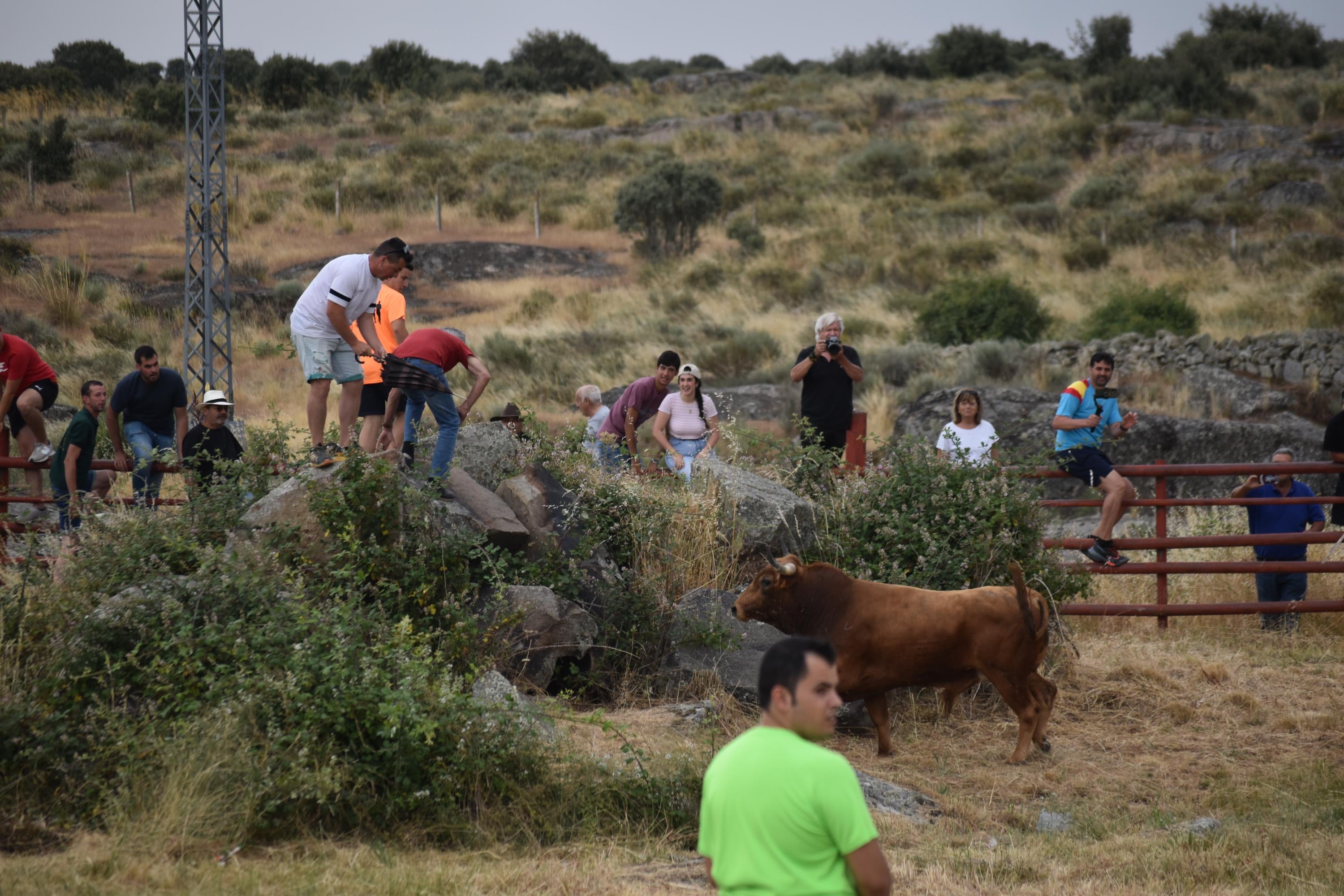 Tradición y riesgo en la última cita de los ‘Espantos’ en Ledesma