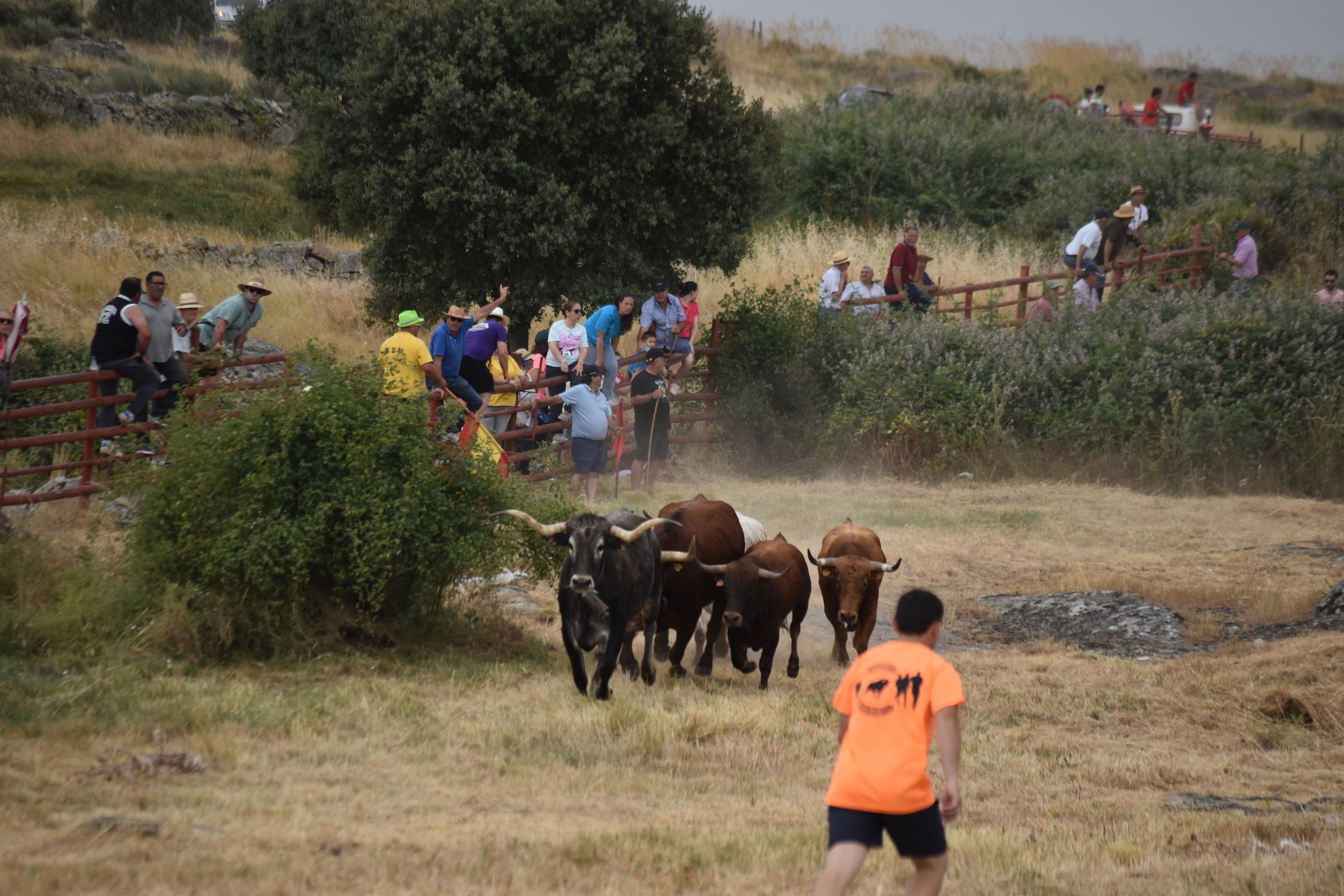 Tradición y riesgo en la última cita de los ‘Espantos’ en Ledesma