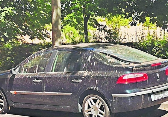 Coche abandonado en Capuchinos