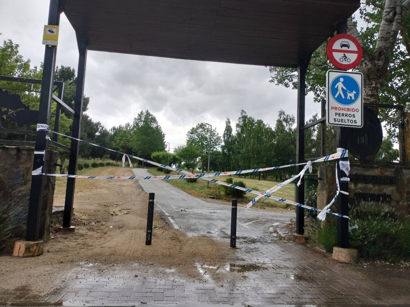 Imagen principal - El mal tiempo causa estragos en la provincia: varios árboles caídos en Guijuelo y en Cespedosa de Tormes