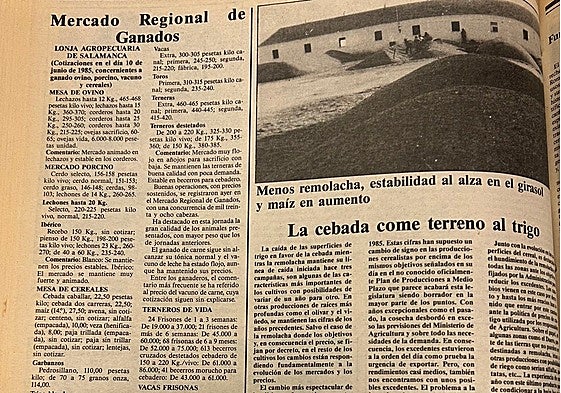 Lonja de Salamanca del 10 de junio de 1985.