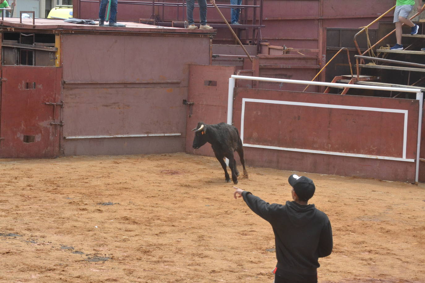 Brillante cierre de San Juan en Hinojosa de Duero