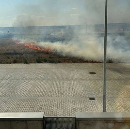 Imagen del fuego declarado.