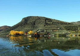 Imagen de la playa fluvial de la Congida extraída de la página Discover Douro.