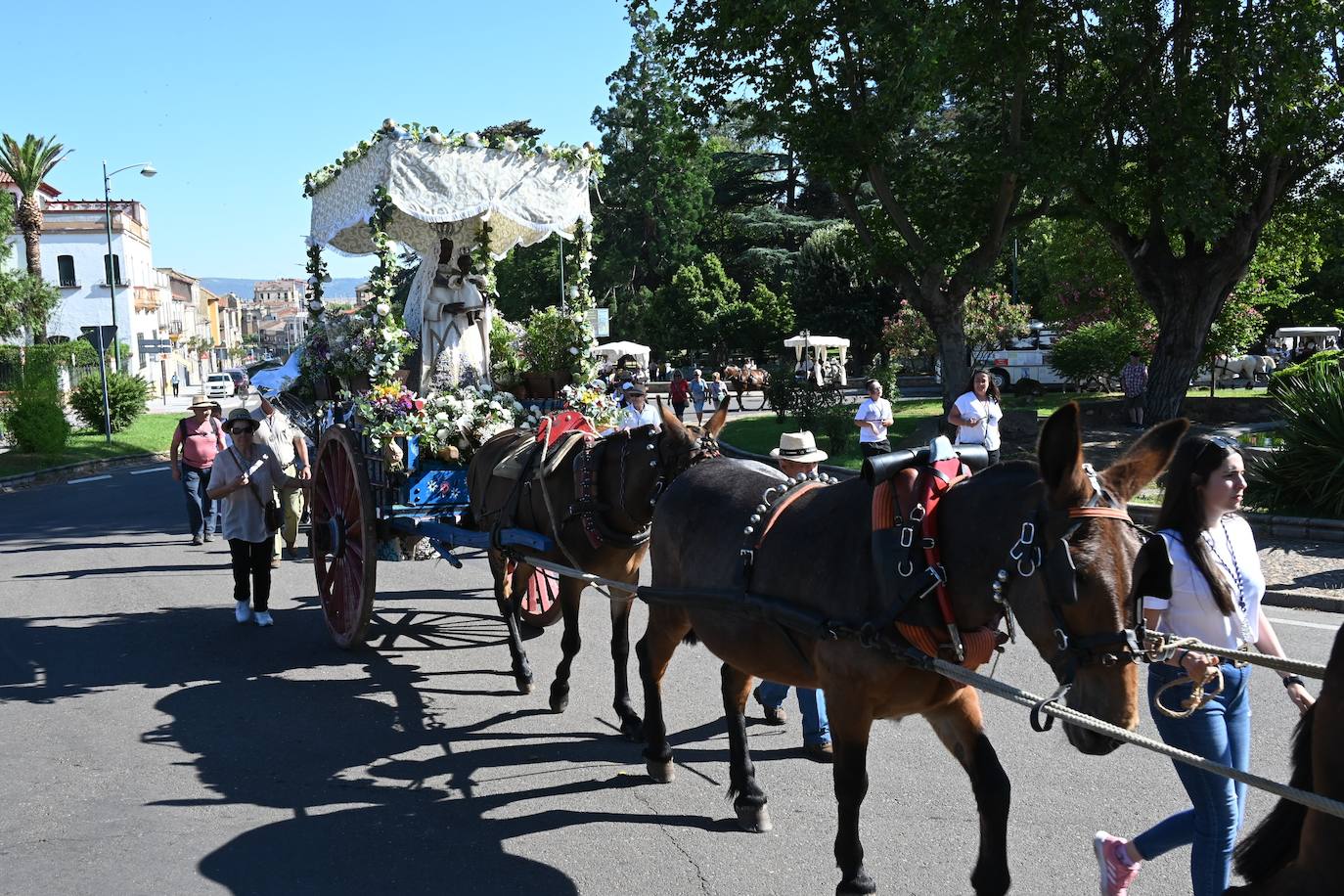 La peregrinos de Ciudad Rodrigo ponen rumbo a la Peña de Francia