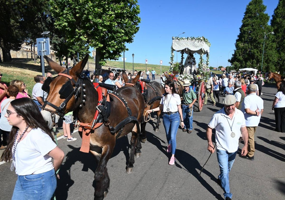 La peregrinos de Ciudad Rodrigo ponen rumbo a la Peña de Francia