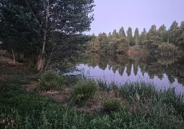 Imagen de una zona próxima donde fue hallado el joven.