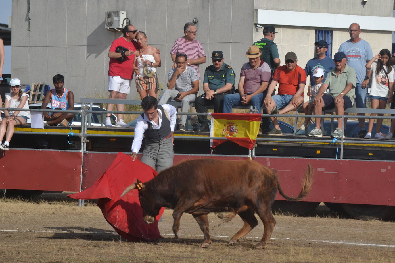 La tauromaquia se rinde a San Pedro en Villar de Peralonso