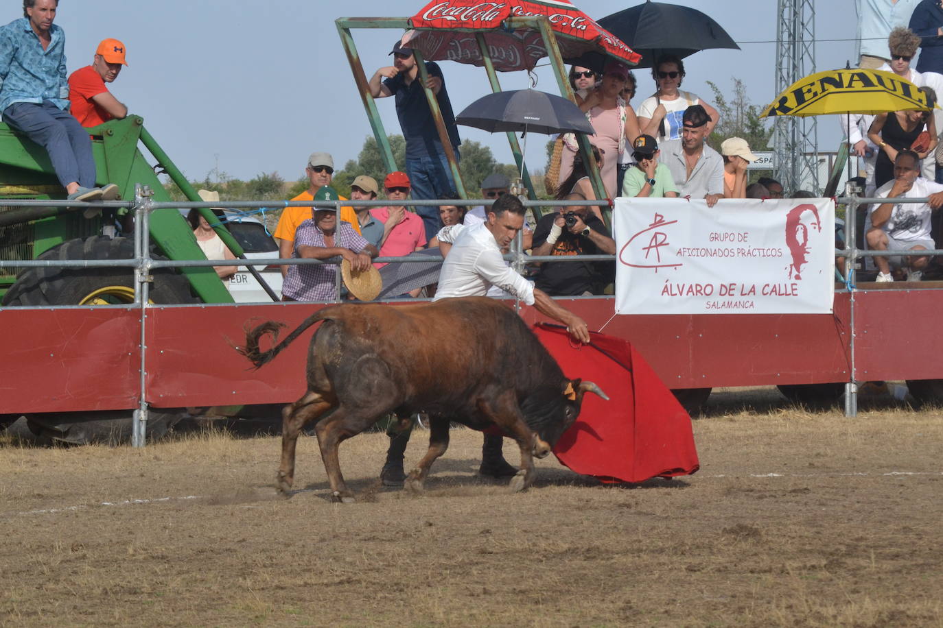 La tauromaquia se rinde a San Pedro en Villar de Peralonso