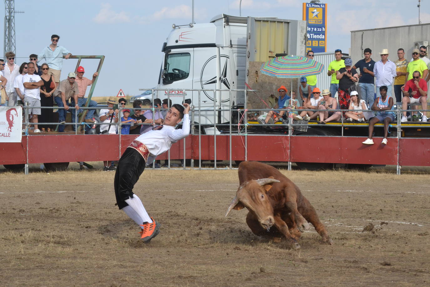 La tauromaquia se rinde a San Pedro en Villar de Peralonso