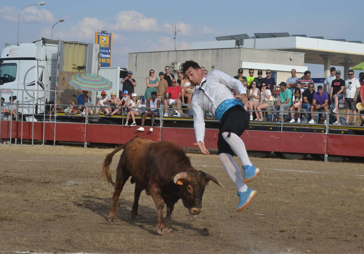 La tauromaquia se rinde a San Pedro en Villar de Peralonso