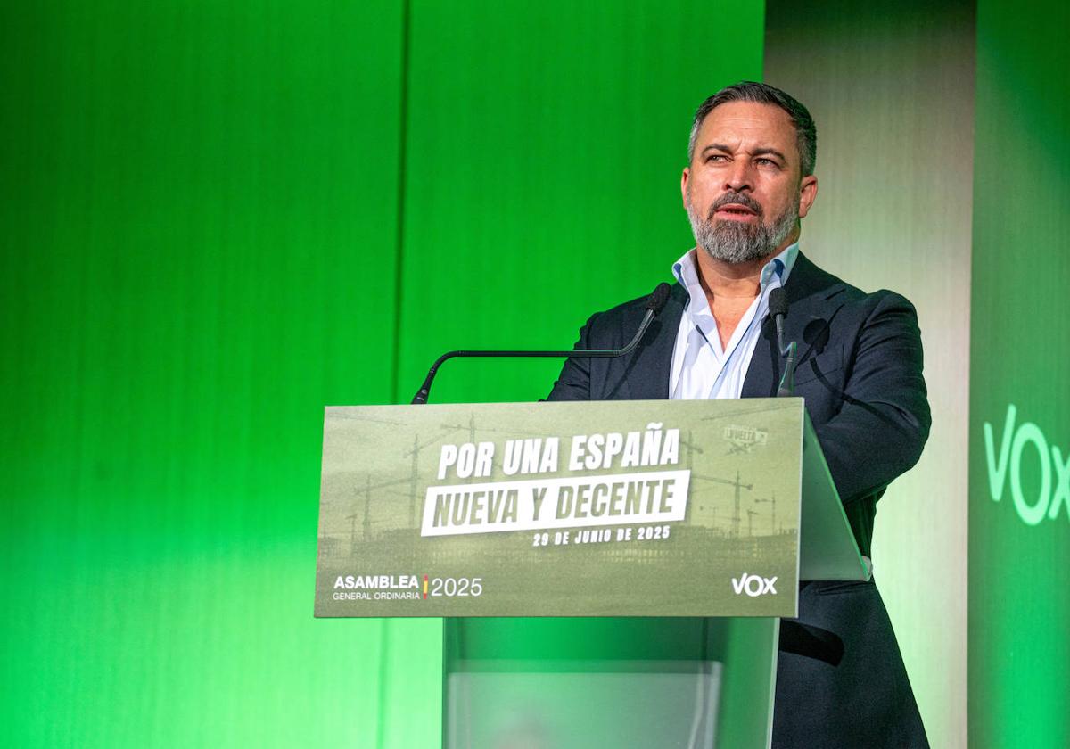 El líder de Vox, Santiago Abascal.