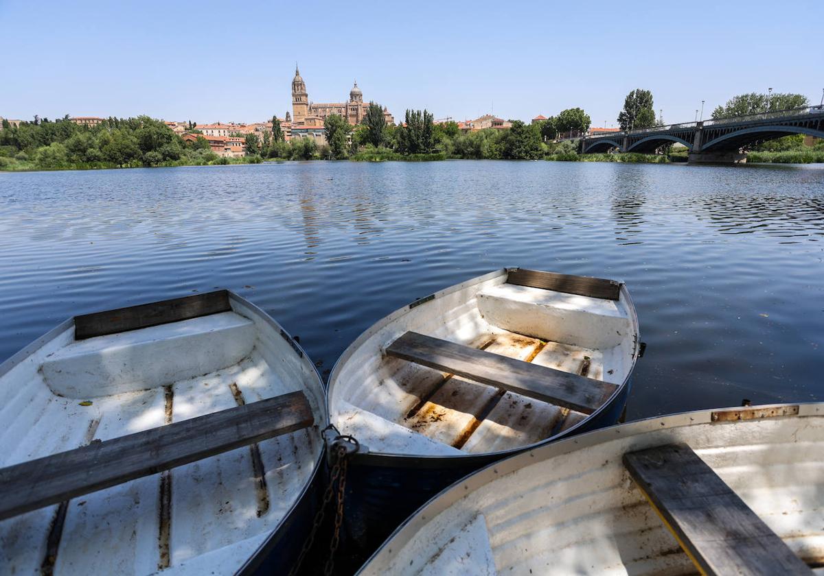 Barcas en el tramo de actuación del río Tormes, entre el Puente Romano y el Enrique Estevan.