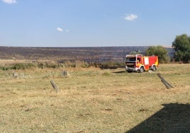 Bomberos de la Diputación.