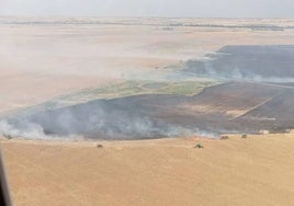 Imagen aérea de la superficie quemada.