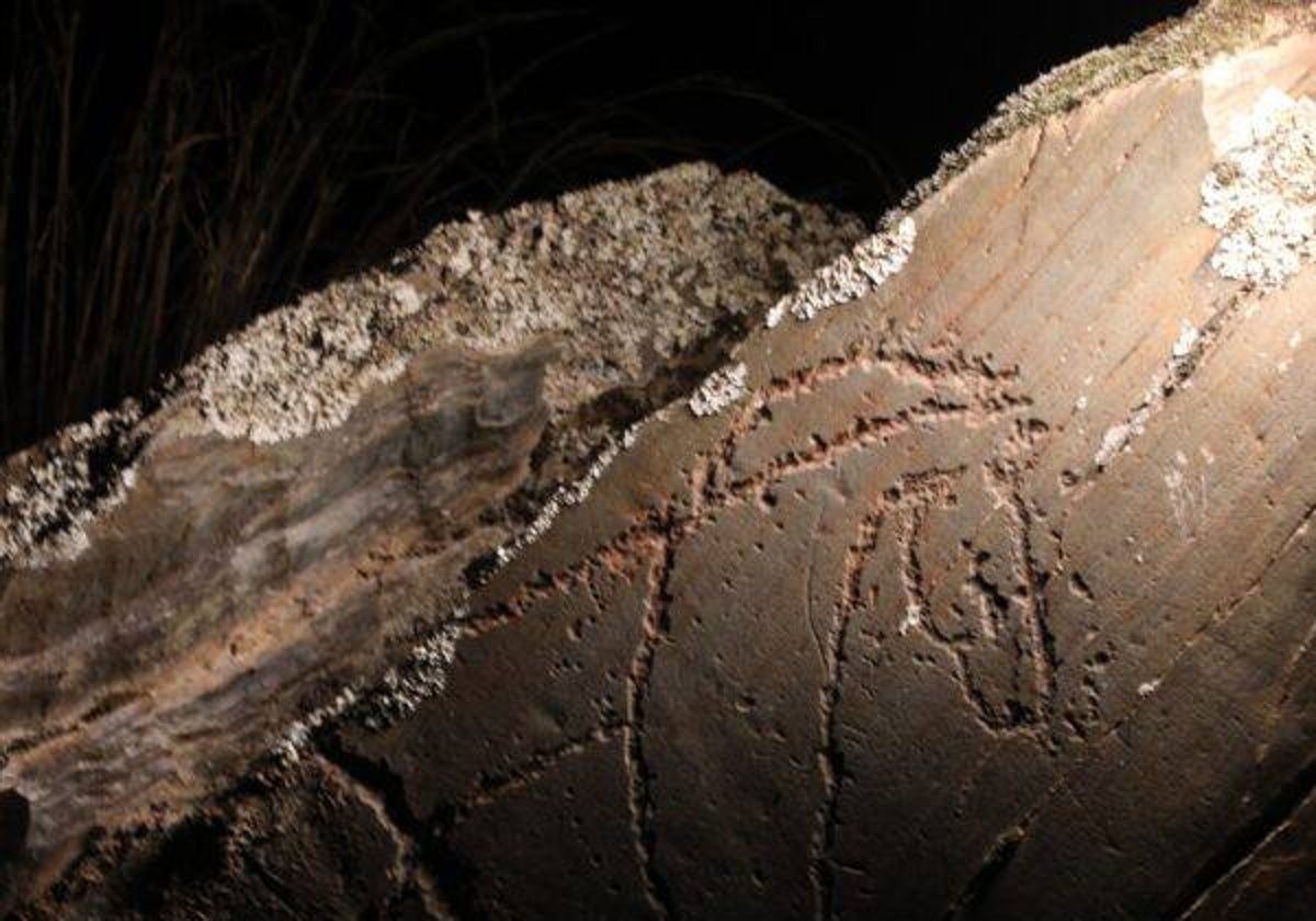 Grabados vistos en una visita nocturna