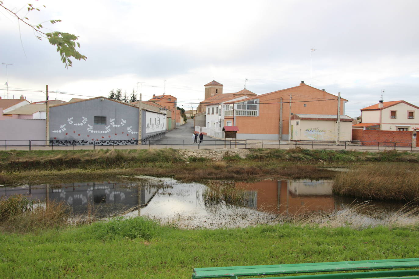 Imagen secundaria 1 - El paraíso salmantino para las aves
