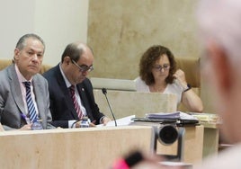 Los ediles Fernando Carabias y Fernando Rodríguez, en el pleno de este viernes.