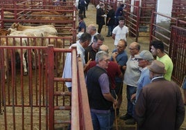 Corrillo en el mercado de ganados celebrado este lunes.