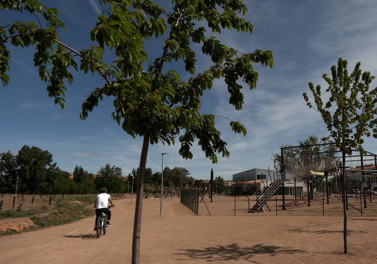 El Ayuntamiento seguirá incrementando la masa arbórea de la ciudad tras sumar más de 9.200 árboles y arbustos durante el último año.